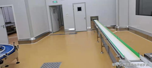 如何选择适合食品厂净化车间的地坪漆 从安全到耐久的全方位指南